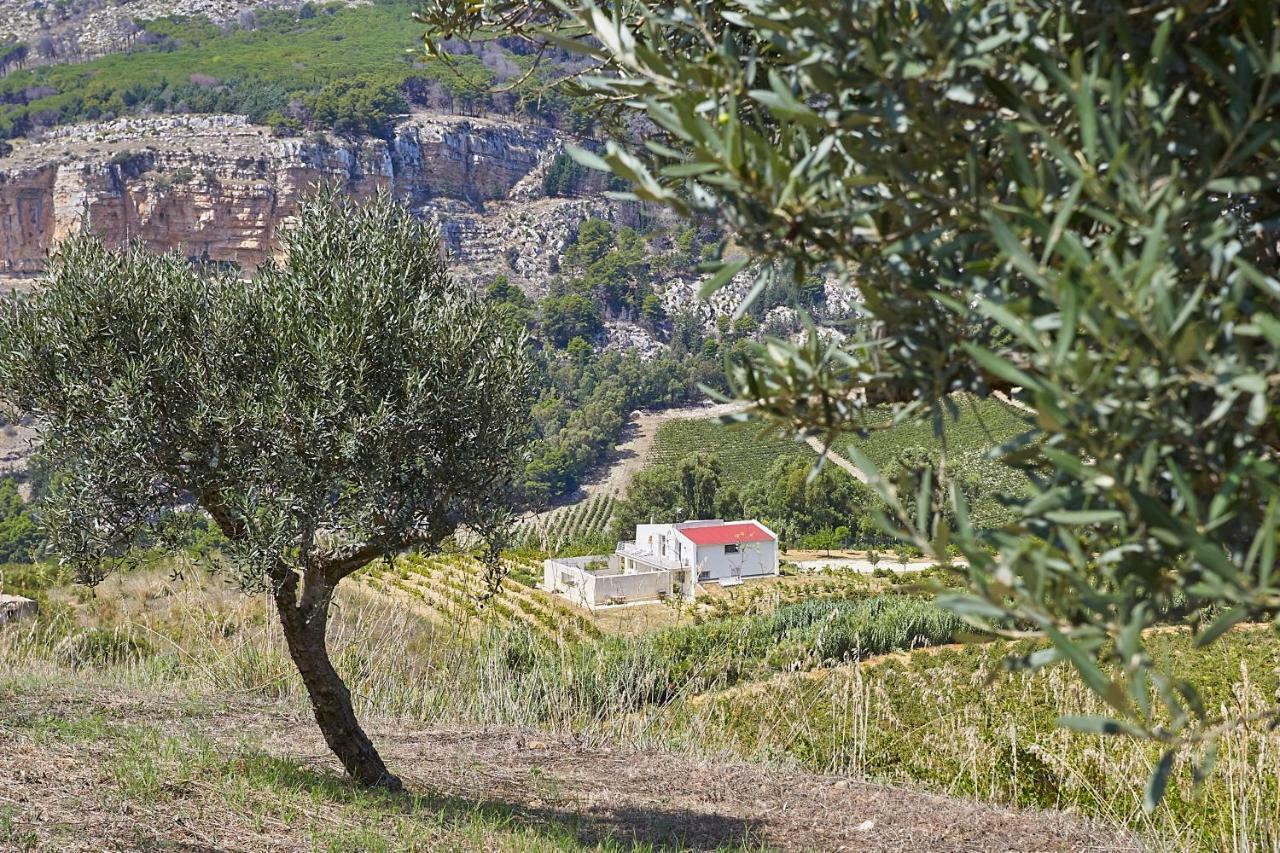 Villa Bonifato Vista Sulle Campagne E Sul Mare Siciliano Cozy House Italy アルカモ エクステリア 写真